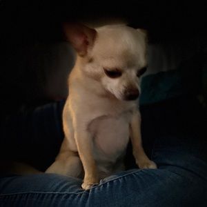 Meet your Posher, Tanida